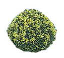 Dollhouse Miniature Blossom Bush 1-1/2In Yellow 2Pcs